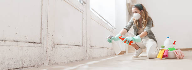 Trusted Howe, TX Mold Inspection, Removal & Remediation Experts